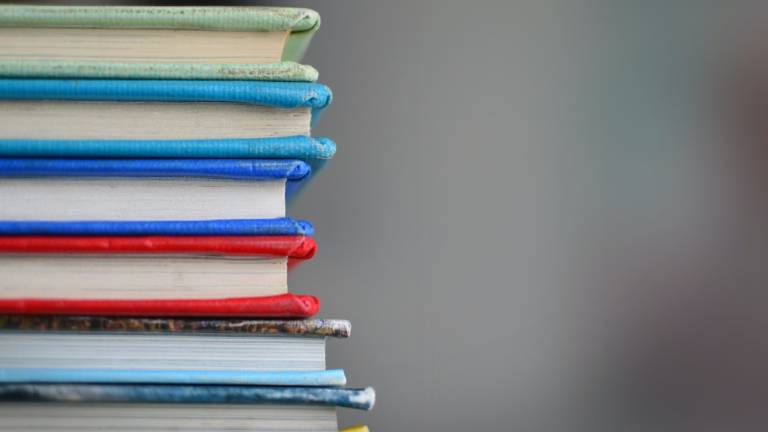 Rimini, scuola e contributi 2023: ecco come richiederli Rimini, scuola e contributi 2023: ecco come richiederli