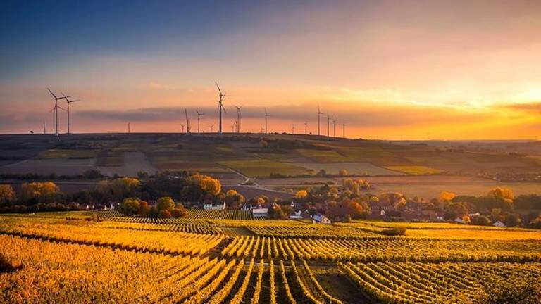 Problema emissioni Co2: anche la tua azienda partecipa alla riduzione Problema emissioni Co2: anche la tua azienda partecipa alla riduzione