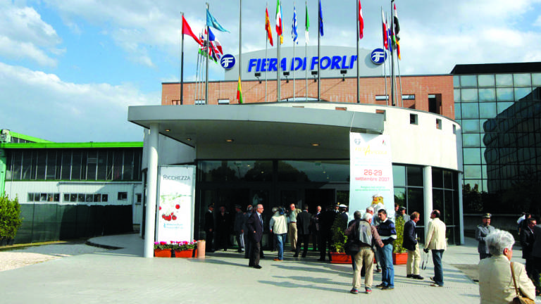 Forlì, domenica commercianti per un giorno alla Fiera Forlì, domenica commercianti per un giorno alla Fiera