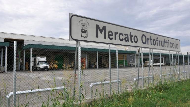 Cesena, Confcommercio e Confesercenti: “Il mercato ortofrutticolo merita attenzione” Cesena, Confcommercio e Confesercenti: “Il mercato ortofrutticolo merita attenzione”