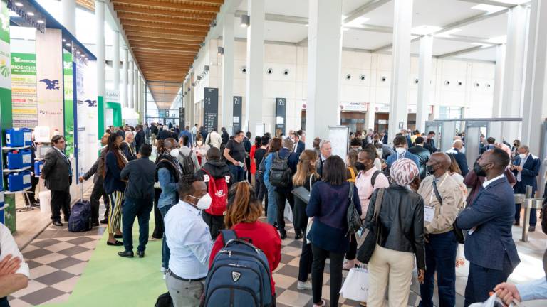 Macfrut 2023: a Rimini oltre 20 aziende dall'Egitto Macfrut 2023: a Rimini oltre 20 aziende dall'Egitto