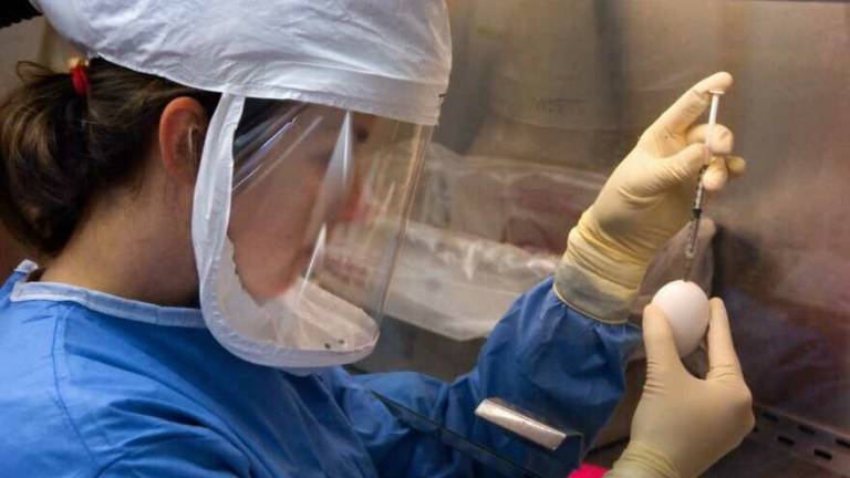 Coronavirus, a Rimini un decesso e 16 contagi. A San Marino sono 12 Coronavirus, a Rimini un decesso e 16 contagi. A San Marino sono 12