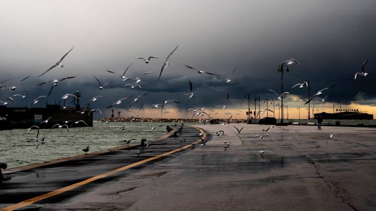 Luci, foto e parole sulla grande duna: ecco “L’altra stagione” di Rimini Luci, foto e parole sulla grande duna: ecco “L’altra stagione” di Rimini