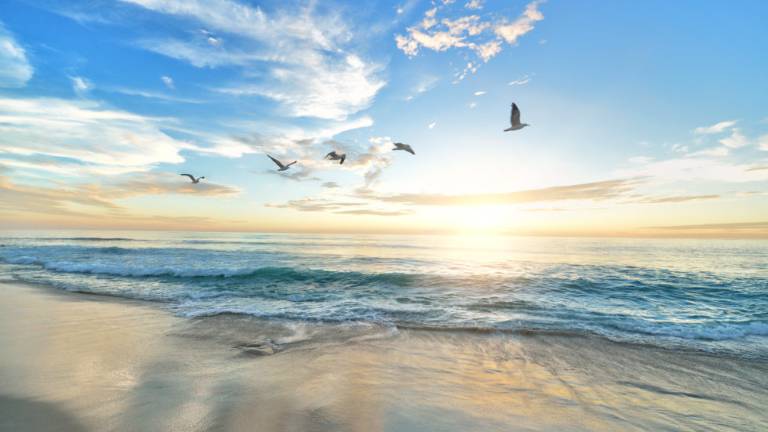 Obiettivo Riviera “plastic free” nel 2021 Obiettivo Riviera “plastic free” nel 2021