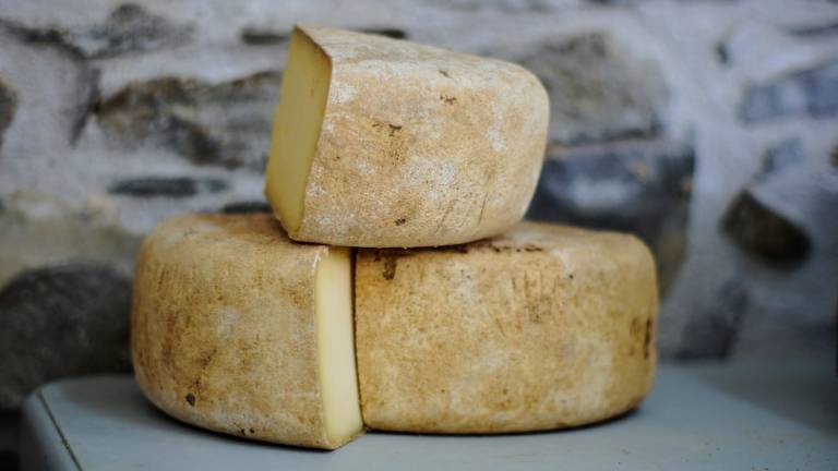 A Forlimpopoli si diventa assaggiatori di formaggi A Forlimpopoli si diventa assaggiatori di formaggi