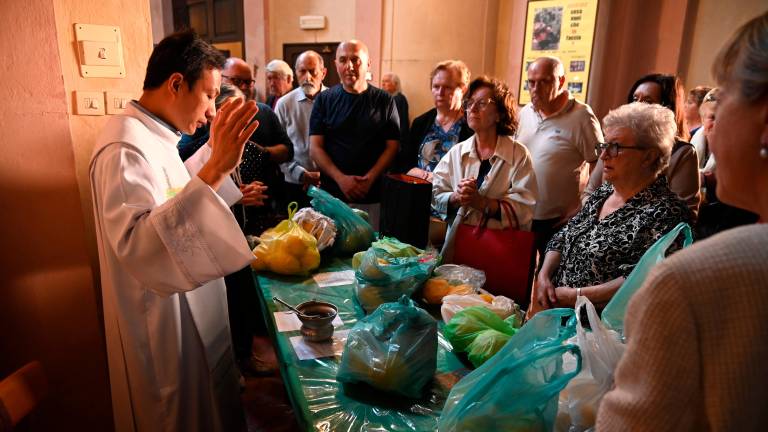Forlì, grande affluenza per la fiera dei cedri e San Pellegrino FOTOGALLERY Forlì, grande affluenza per la fiera dei cedri e San Pellegrino FOTOGALLERY