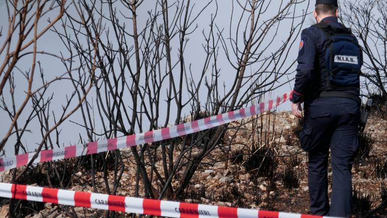 Emilia-Romagna, il bilancio dei Carabinieri Forestali: 665 persone denunciate in un anno Emilia-Romagna, il bilancio dei Carabinieri Forestali: 665 persone denunciate in un anno