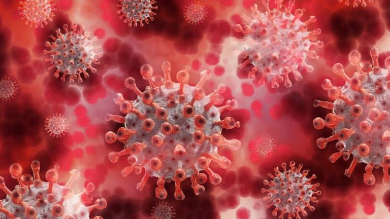 Coronavirus: morta in ospedale una donna di Gambettola Coronavirus: morta in ospedale una donna di Gambettola