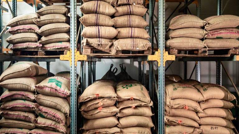Sacchi di caffè alla Torrefazione Gourmet, foto fornita dall’azienda Sacchi di caffè alla Torrefazione Gourmet, foto fornita dall’azienda