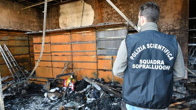 Forlì, incendi dolosi al Robinson Pet: arrestato il piromane Forlì, incendi dolosi al Robinson Pet: arrestato il piromane