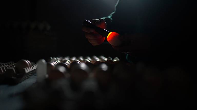 Ravenna, Amadori dà il via ai lavori per mettersi al sicuro da eventi alluvionali e ringrazia Bignami e Buonguerrieri Ravenna, Amadori dà il via ai lavori per mettersi al sicuro da eventi alluvionali e ringrazia Bignami e Buonguerrieri