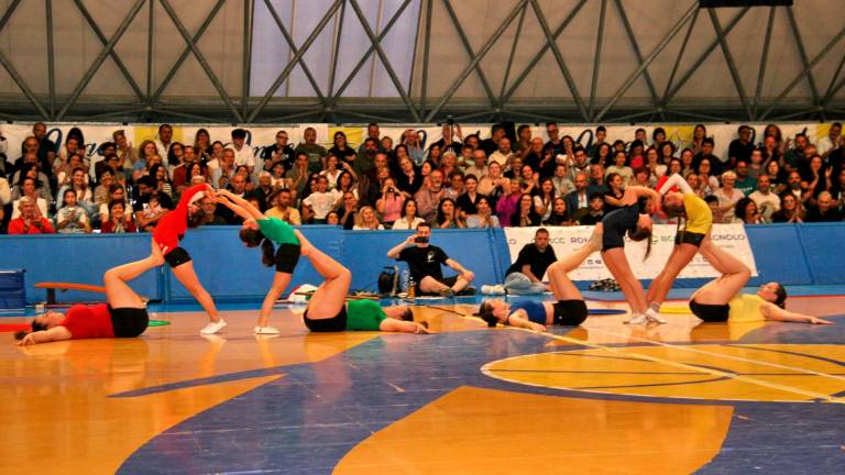 Ginnastica artistica: la festa del Centro Olimpia a Santarcangelo - Gallery Ginnastica artistica: la festa del Centro Olimpia a Santarcangelo - Gallery