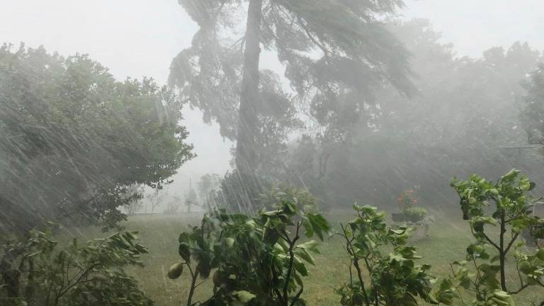 Ravenna, previsti temporali di forte intensità, allerta fino domani a mezzanotte Ravenna, previsti temporali di forte intensità, allerta fino domani a mezzanotte