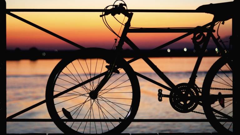 Rimini, indagine sui dipendenti del Comune: il 49% usa l'auto per andare al lavoro, il 26% la bici Rimini, indagine sui dipendenti del Comune: il 49% usa l'auto per andare al lavoro, il 26% la bici