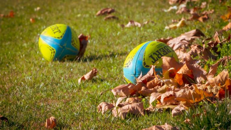 Rugby, il Romagna Rfc non si ferma e pensa ai giovani Rugby, il Romagna Rfc non si ferma e pensa ai giovani
