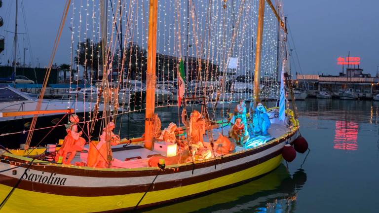Riccione accende l’albero di Natale, inizia la festa Riccione accende l’albero di Natale, inizia la festa