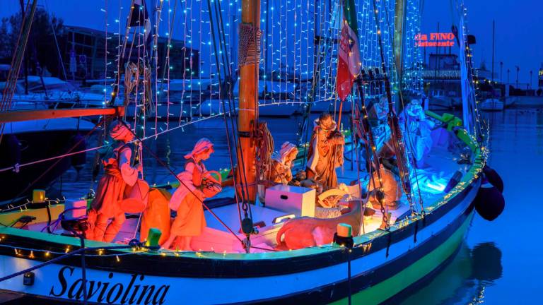Riccione accende l’albero di Natale, inizia la festa Riccione accende l’albero di Natale, inizia la festa