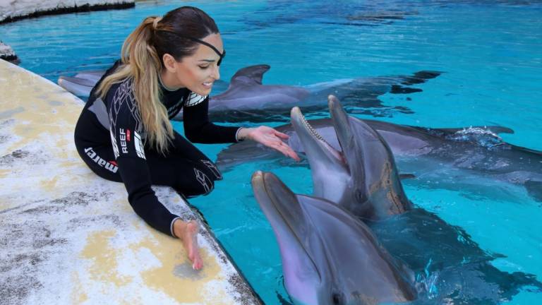 Gessica Notaro torna tra i suoi delfini a Oltremare - IL VIDEO Gessica Notaro torna tra i suoi delfini a Oltremare - IL VIDEO