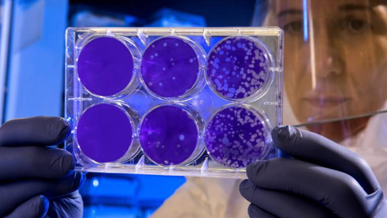 Coronavirus Ravenna, contagiato anche un primario di Rimini Coronavirus Ravenna, contagiato anche un primario di Rimini
