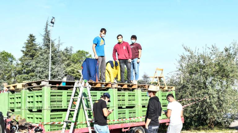 Imola, sugli elevatori e le casse della frutta per vedere la F1 Imola, sugli elevatori e le casse della frutta per vedere la F1
