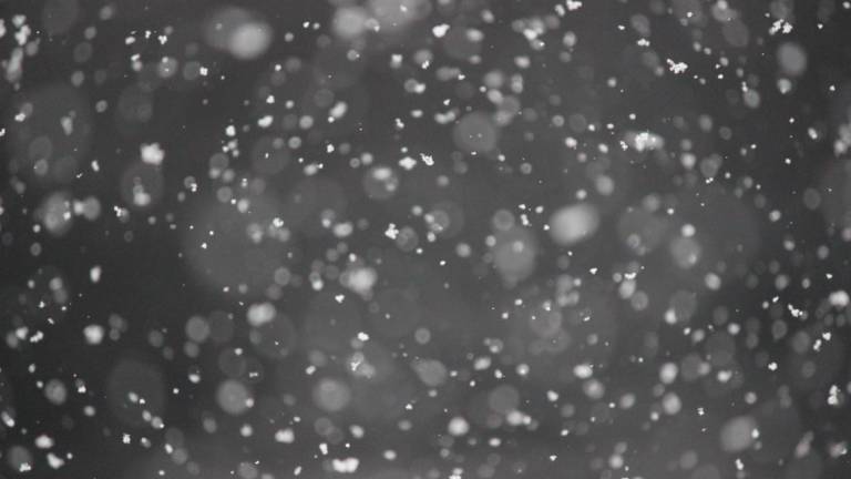 Meteo Emilia Romagna, arriva il vero inverno: prevista neve per mercoledì e domenica Meteo Emilia Romagna, arriva il vero inverno: prevista neve per mercoledì e domenica