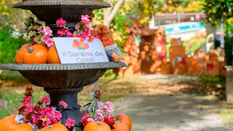 Halloween a Riccione: ha aperto il parco delle zucche - Gallery Halloween a Riccione: ha aperto il parco delle zucche - Gallery