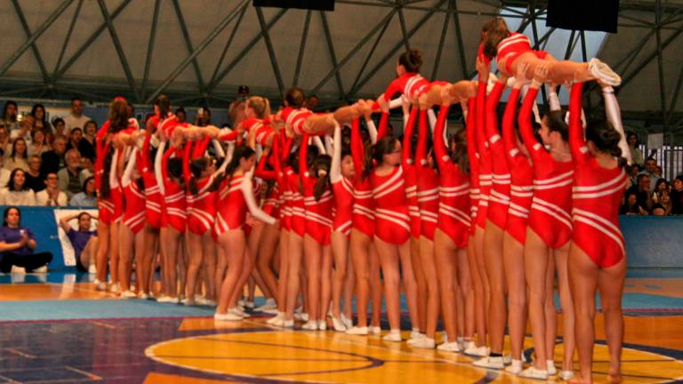 Ginnastica artistica, Centro Olimpia Cesena: 200 atleti al saggio finale - Gallery Ginnastica artistica, Centro Olimpia Cesena: 200 atleti al saggio finale - Gallery