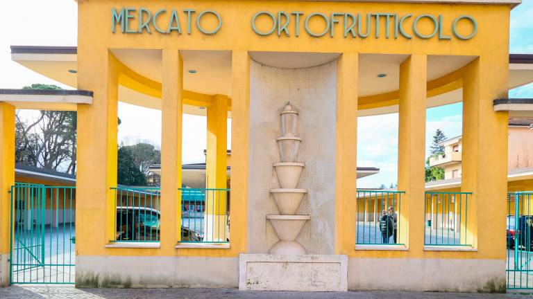 Il mercato ortofrutticolo di Imola ospiterà il Job Day venerdì 9 maggio (foto mmph) Il mercato ortofrutticolo di Imola ospiterà il Job Day venerdì 9 maggio (foto mmph)