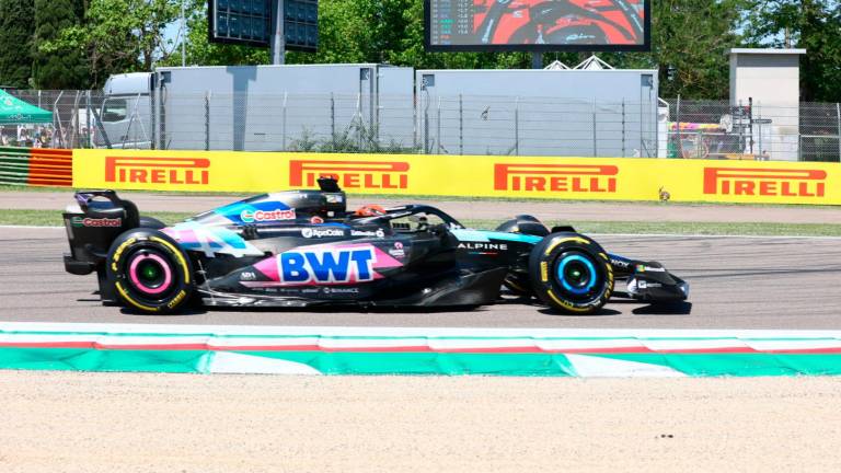 Imola, durante le prove di Formula Uno spunta una lepre alla variante Gresini, ma sfrutta... le vie di fuga - Gallery Imola, durante le prove di Formula Uno spunta una lepre alla variante Gresini, ma sfrutta... le vie di fuga - Gallery