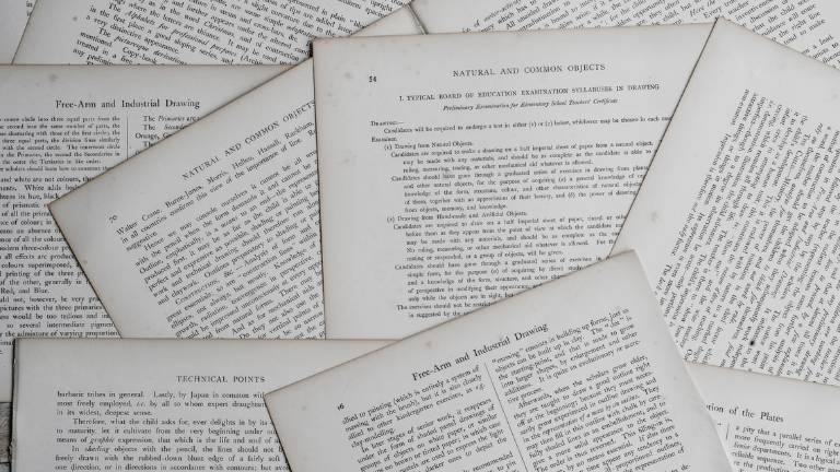 Domenica di Carta: le iniziative all'Archivio di Stato di Forlì e Cesena per il 10 ottobre Domenica di Carta: le iniziative all'Archivio di Stato di Forlì e Cesena per il 10 ottobre