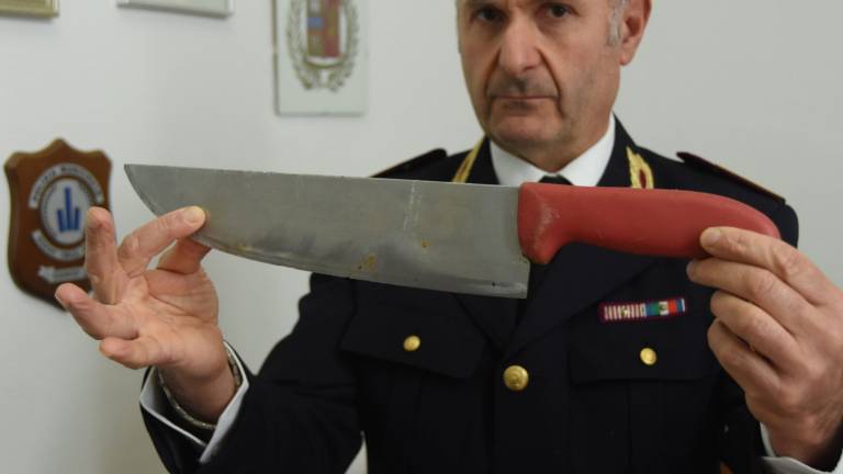 Forlì, distrugge casa con la mannaia. Famiglia terrorizzata Forlì, distrugge casa con la mannaia. Famiglia terrorizzata