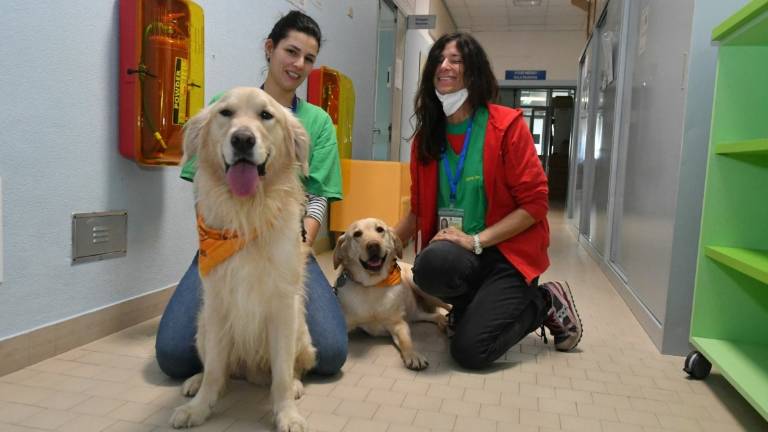 Forlì. Chi corre alla Fuga Forrest aiuta i bambini ricoverati ad avere animali come terapia Forlì. Chi corre alla Fuga Forrest aiuta i bambini ricoverati ad avere animali come terapia