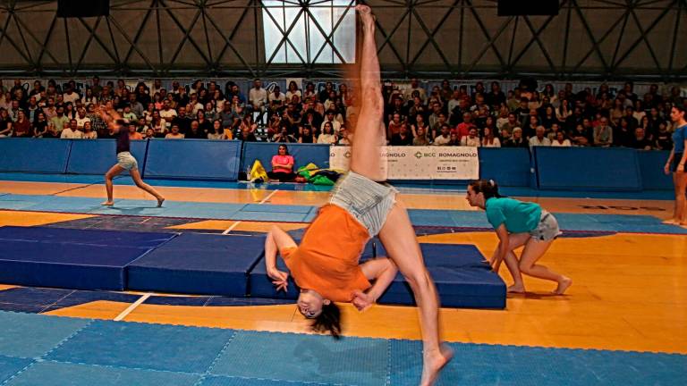 Ginnastica artistica, Centro Olimpia Cesena: 200 atleti al saggio finale - Gallery Ginnastica artistica, Centro Olimpia Cesena: 200 atleti al saggio finale - Gallery