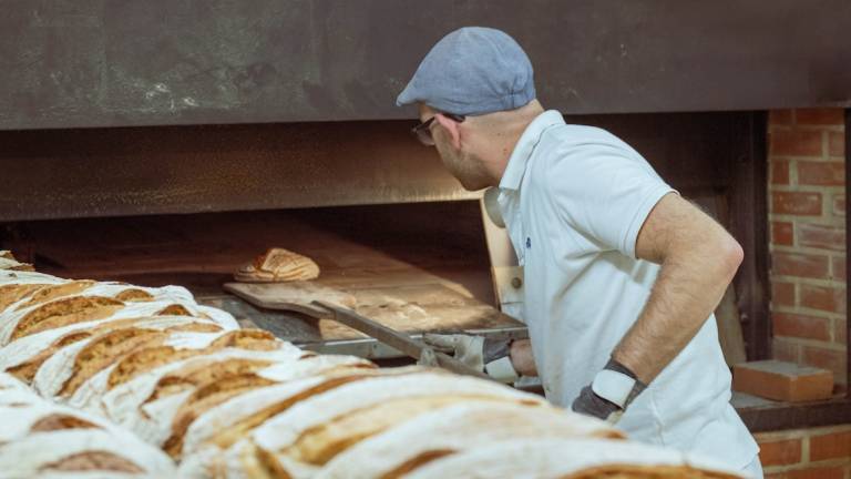 Lavoro, a Forlì riparte la scuola di alta formazione per fornai e pasticceri Lavoro, a Forlì riparte la scuola di alta formazione per fornai e pasticceri