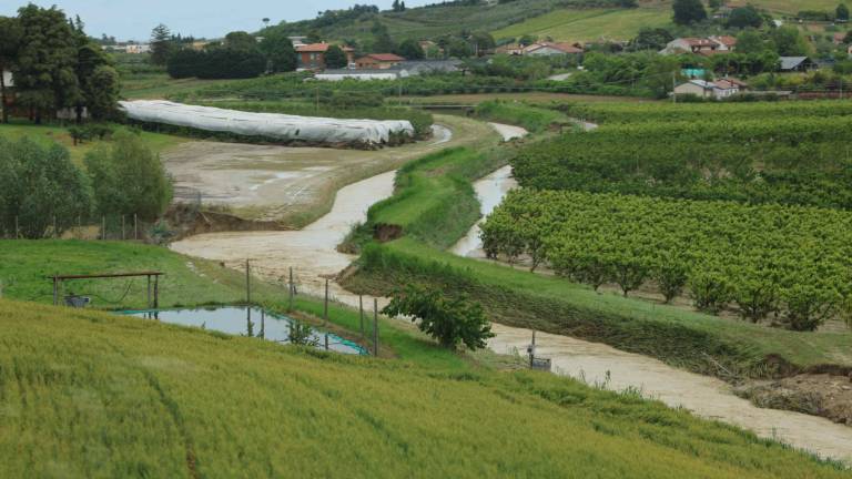 Agricoltura in ginocchio: 1,5 miliardi di danni dall'alluvione Agricoltura in ginocchio: 1,5 miliardi di danni dall'alluvione