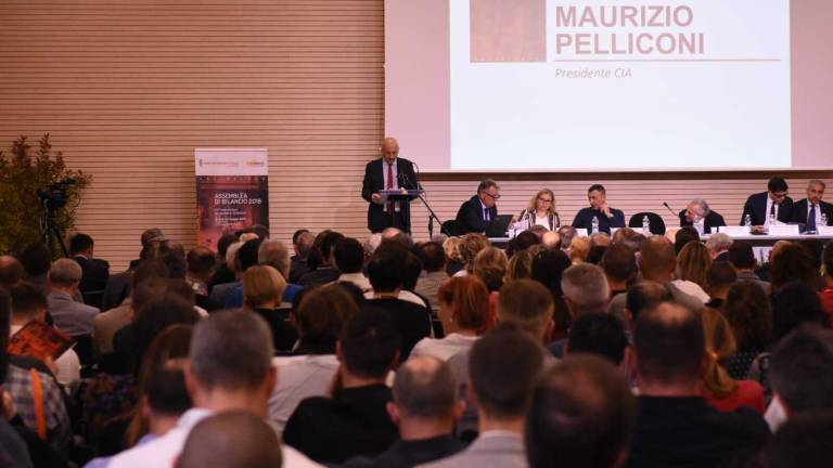 Cia Conad, da Cesena lo sguardo al futuro: I 60 anni punto di partenza Cia Conad, da Cesena lo sguardo al futuro: I 60 anni punto di partenza