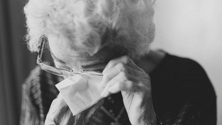 Cesena, “tuo figlio ha investito una donna incinta”: porta via migliaia di euro a un’anziana, 19enne denunciato Cesena, “tuo figlio ha investito una donna incinta”: porta via migliaia di euro a un’anziana, 19enne denunciato