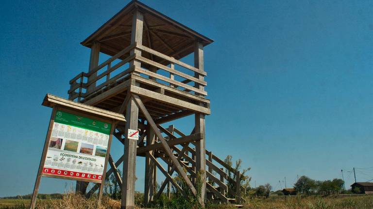 Una torretta nel cuore dell’area verde dell’Ortazzo Una torretta nel cuore dell’area verde dell’Ortazzo