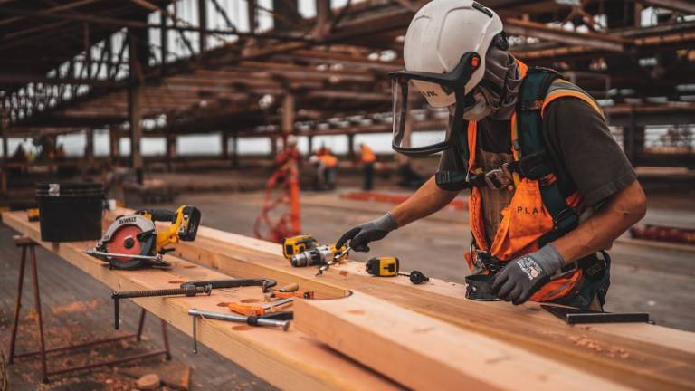 Lavoro a Forlì-Cesena: Ecco i profili più richiesti. L'analisi di Confartigianato Lavoro a Forlì-Cesena: Ecco i profili più richiesti. L'analisi di Confartigianato
