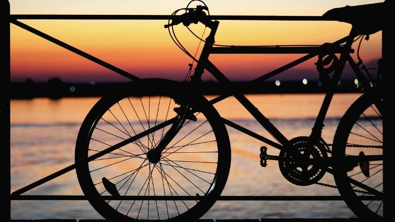 Cesena, ruba una bicicletta ma le telecamere lo pizzicano e la polizia lo blocca Cesena, ruba una bicicletta ma le telecamere lo pizzicano e la polizia lo blocca