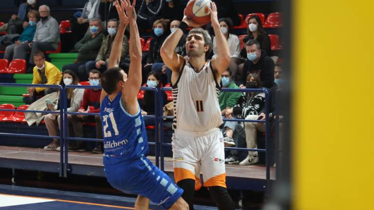 Basket B, sfuma Carenza, Tigers ancora sul mercato Basket B, sfuma Carenza, Tigers ancora sul mercato