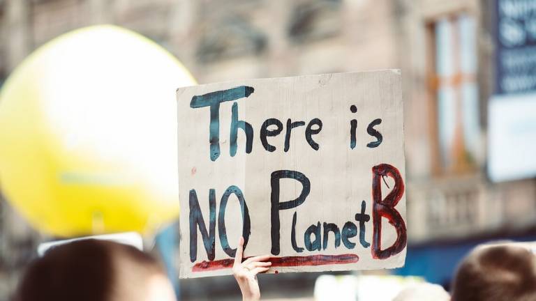 Venerdì a Rimini torna il Fridays for future con una biciclettata Venerdì a Rimini torna il Fridays for future con una biciclettata