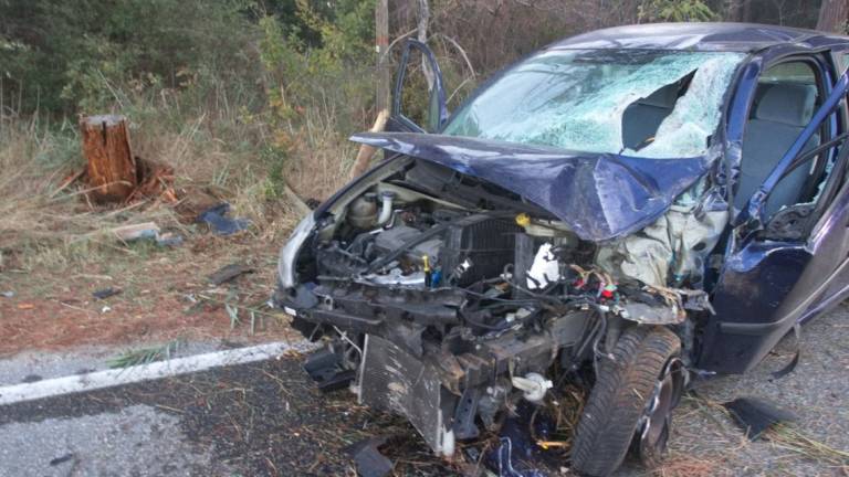 Marina Romea. Finisce fuori strada contro un pino tagliato, grave 21enne Marina Romea. Finisce fuori strada contro un pino tagliato, grave 21enne