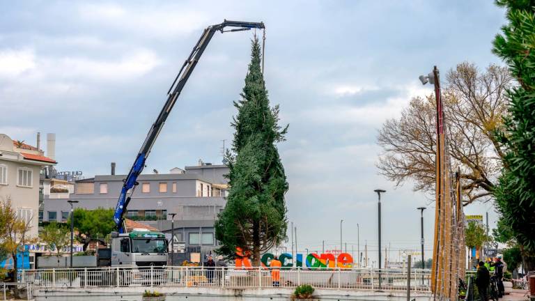 L’Albero di Natale di Riccione è arrivato dalle Foreste Casentinesi: accensione l’8 dicembre L’Albero di Natale di Riccione è arrivato dalle Foreste Casentinesi: accensione l’8 dicembre