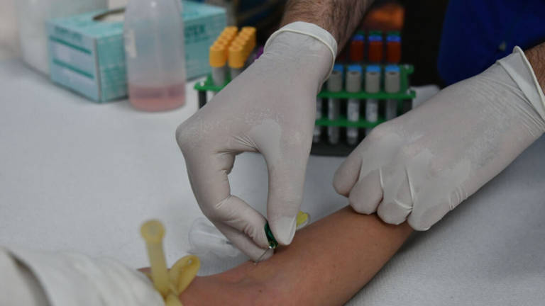Forlì, in farmacia test sierologico gratis per studenti e familiari Forlì, in farmacia test sierologico gratis per studenti e familiari
