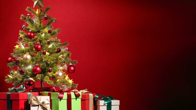 Faenza, Tornano i Giardini a Natale 2021-2022 Faenza, Tornano i Giardini a Natale 2021-2022