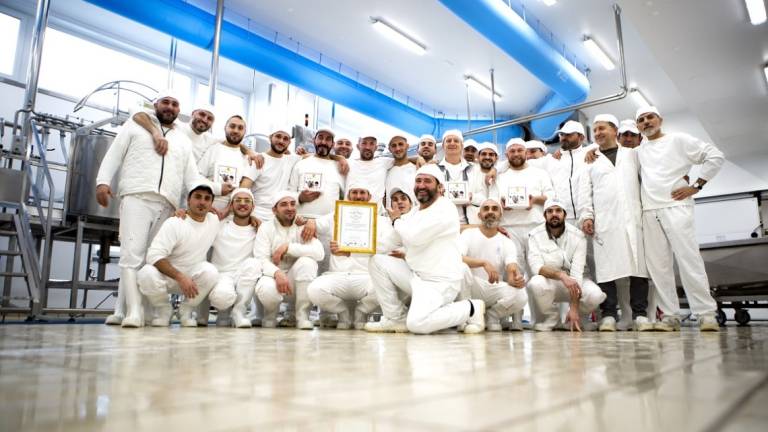 San Patrignano, il formaggio Mucchino premiato al World Cheese Award San Patrignano, il formaggio Mucchino premiato al World Cheese Award