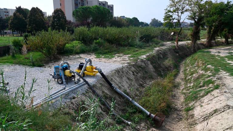 Forlì, il comitato dei Romiti: “Vogliamo rassicurazioni sulla sicurezza” Forlì, il comitato dei Romiti: “Vogliamo rassicurazioni sulla sicurezza”