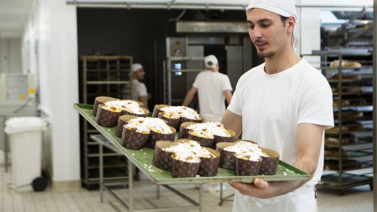 San Patrignano, 72 ospiti della comunità sfornano colombe di Pasqua - Gallery San Patrignano, 72 ospiti della comunità sfornano colombe di Pasqua - Gallery