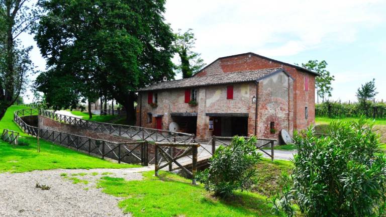 Castel Bolognese, nuove proposte per valorizzare il Mulino Scodellino Castel Bolognese, nuove proposte per valorizzare il Mulino Scodellino